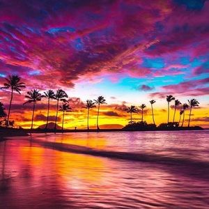 Meet your Posher, Selea